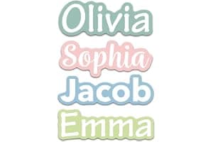 Custom Name Stickers for Water Bottles - Personalized Waterproof Vinyl Name Labels for Cups, Tumblers, Helmets, Laptop, Servers, Cars and Daycare (...