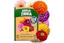 HOME GROWN Zinnia Dahlia Seeds Pack for 2026 Non GMO 524 Flower Seeds | Vibrant Zinnia Elegans for Pollinator Gardens, Borders & Containers | Easy-to-Grow Outdoor Blooms