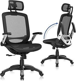 GABRYLLY Ergonomic Office Chair, High Back Home Desk Chair with Headrest, Flip-Up Arms, 90-120° Tilt Lock and Wide Cushion, Big and Tall Mesh Chair...
