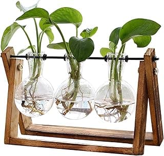 XXXFLOWER Plant Terrarium with Wooden Stand, Air Planter Bulb Glass Vase Metal Swivel Holder Retro Tabletop for Hydroponics Home Garden Office Deco...