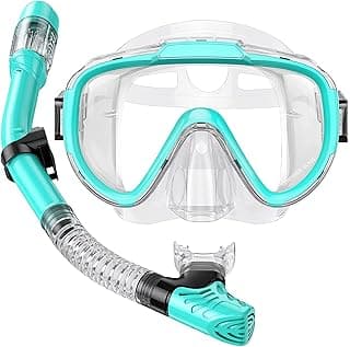 Snorkel Set Adults Snorkeling Gear Anti-Fog Panoramic View Swim Mask Dry Top Snorkel Kit with Carry Bag for Snorkeling Scuba Diving Swimming Travel