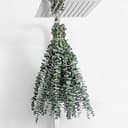 10 Pcs Dried Eucalyptus Stems 17" Real Eucalyptus for Shower Hanging 100% Made from Fresh Leaves, Wedding, Home, Farmhouse, DIY Spring Decor Bathro...