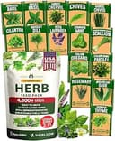 HOME GROWN Herb Seeds for Planting 15-Pack Massive Seed Count 4,300+ Seeds Non-GMO Heirloom | Extra Large | Culinary Herb Kit, Indoor Outdoor & Hyd...