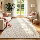 SHACOS Soft Cozy Fluffy Arch Waves Pattern High-Low Textured Area Rug 5'x7' Non Slip Washable Minimalist Modern Graphic Rainbow Carpet for Living R...