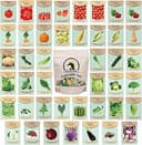 Set of 43 Assorted Vegetable & Herb Seed Packets - Over 10,000 Seeds! - Includes Mylar Storage Bag - Deluxe Garden Heirloom Seeds - 100% Non-GMO