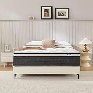 NapNest Queen Mattress 10 Inch, Hybrid Mattresses Queen Size in a Box, Medium Firm Feel Memory Foam and Individual Pocket Springs Fiberglass Free B...